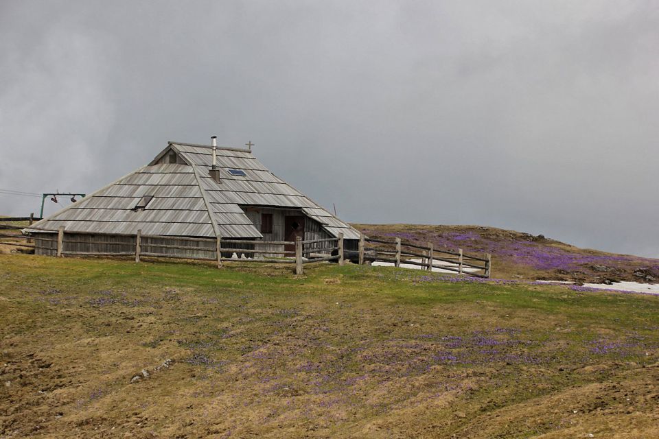 Velika planina – 10.4.2016 - foto povečava