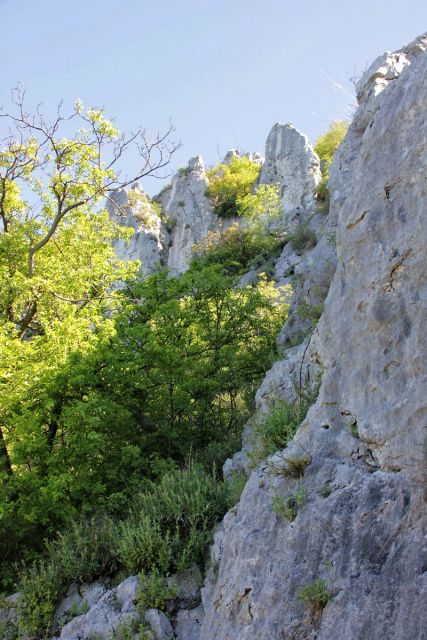 Tržaški kras 8, Napoleonica-30.4.2016 - foto