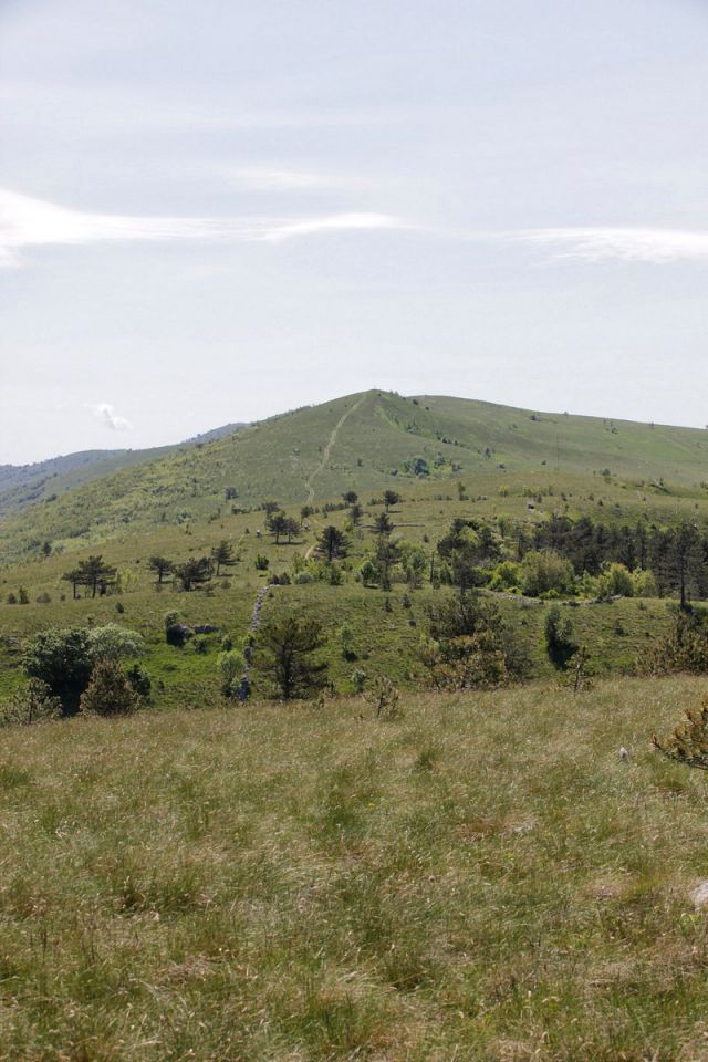 Kraški rob – 18.5.2016 - foto povečava