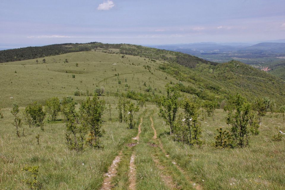 Kraški rob – 18.5.2016 - foto povečava