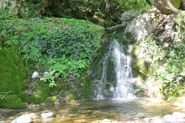 Kvarner - 21.5.2016 - foto