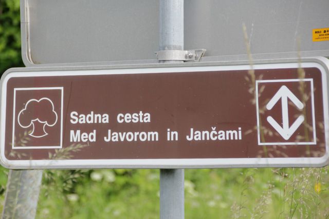 Janče - 5.6.2016 - foto