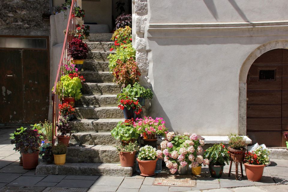 cvetoče stopnice v mestu Cres