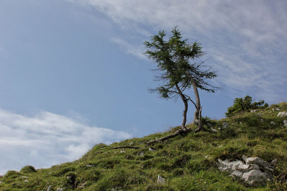 Ratitovec - 25.7.2016 - foto povečava