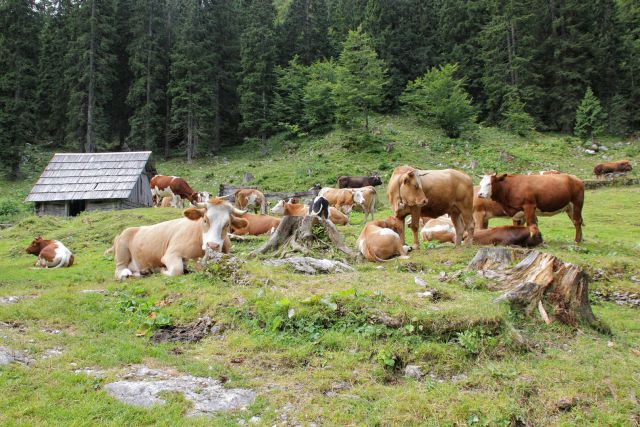 Nazaj na Pečani, čas za siesto