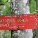 tu gre goranska planinska pot...