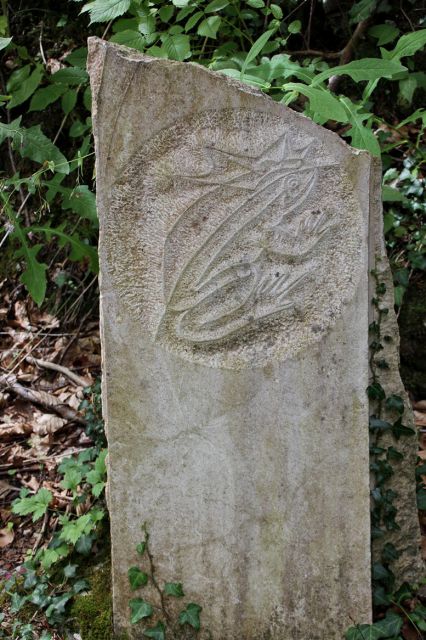 Litopunkturni kamen z izklesano žabico