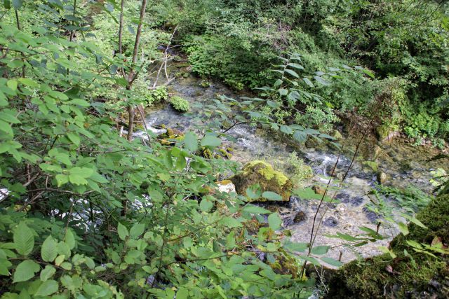 Čabar, izvir Čabranke, Krulići – 13.8.2016 - foto