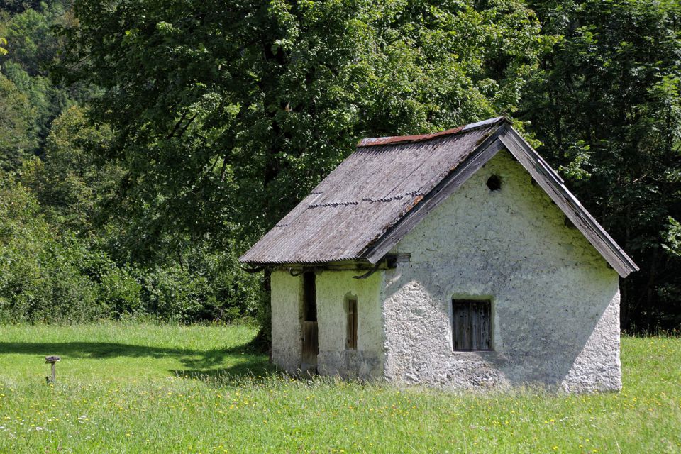 Bohinj - 16.8.2016 - foto povečava