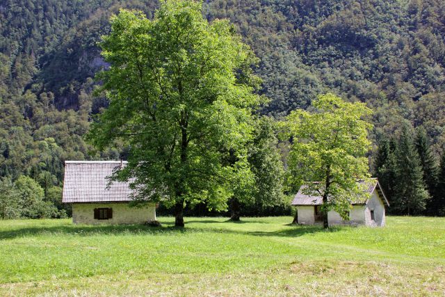 Bohinj - 16.8.2016 - foto