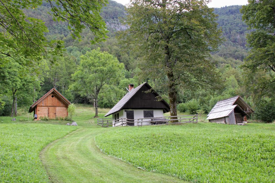 Bohinj - 16.8.2016 - foto povečava