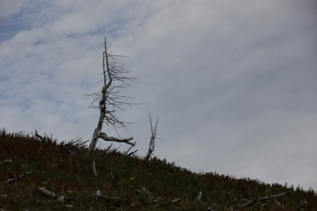 Dleskovška planota – 11.9.2016 - foto