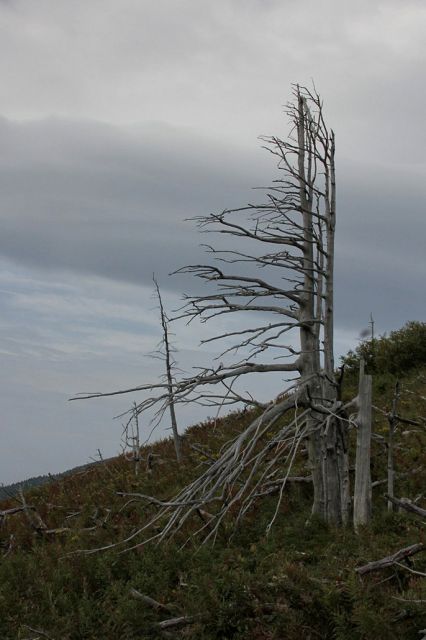 Dleskovška planota – 11.9.2016 - foto