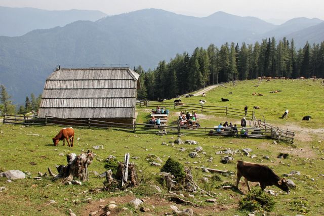 Planina podvežak s pastirsko kočo...