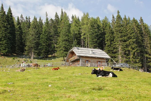 Dleskovška planota – 11.9.2016 - foto