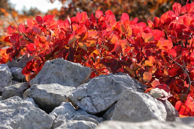 Veliko Cerje – 16.10.2016 - foto