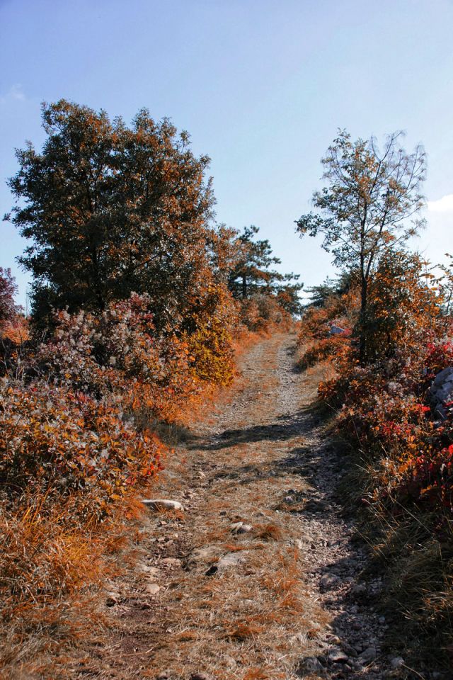 Veliko Cerje – 16.10.2016 - foto povečava