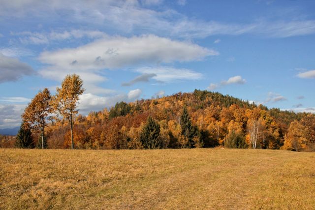 Mali Mošenik (700 m), hišna gora Ajblja