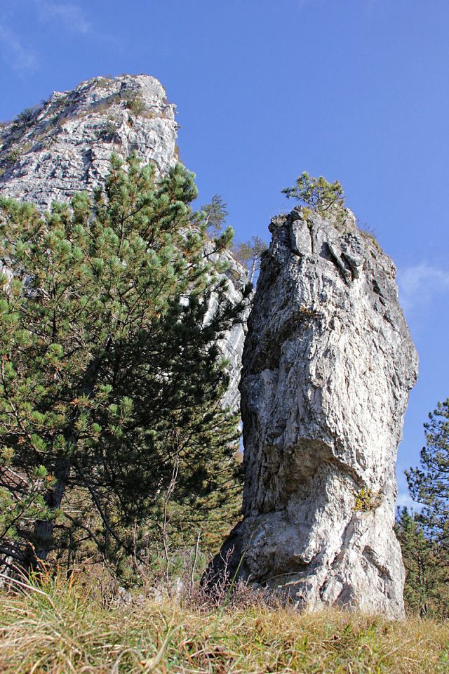 Okamneli mož pod Loško steno-30.10.2016 - foto povečava