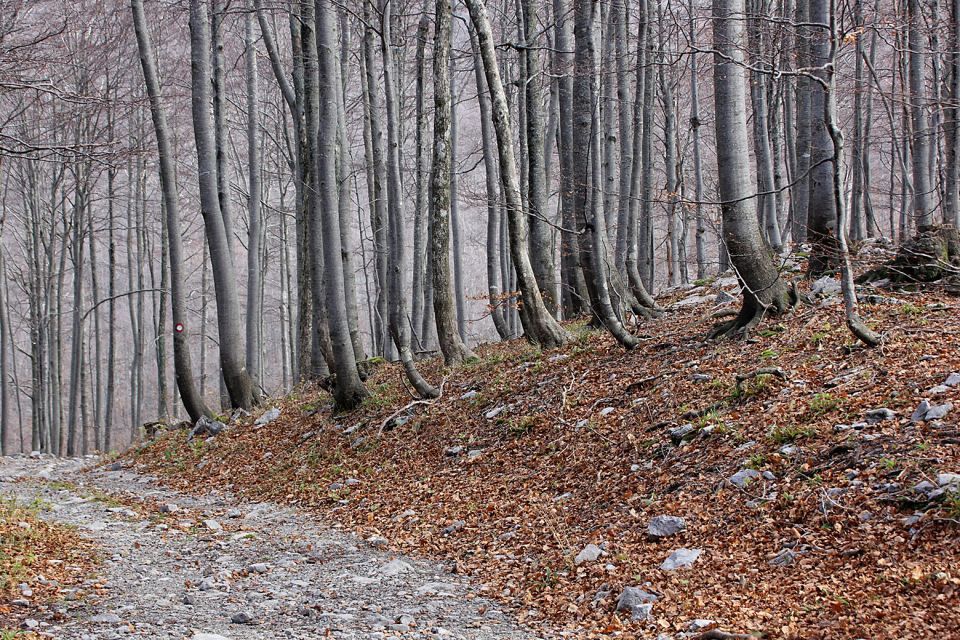 pot čez grlo proti snježniku