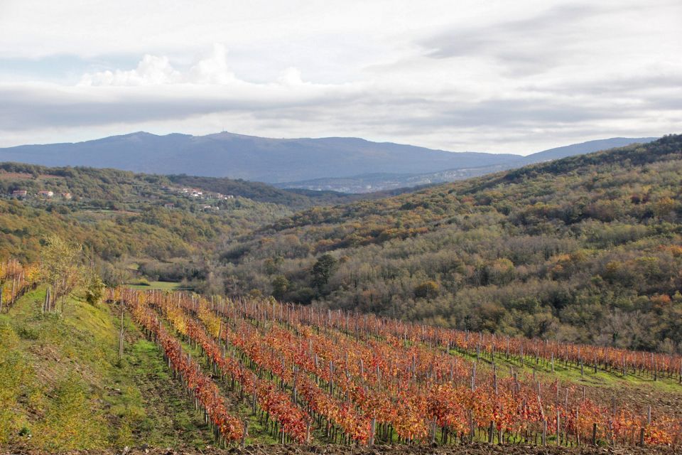 Šavrinsko gričevje - 13.11.2016 - foto povečava