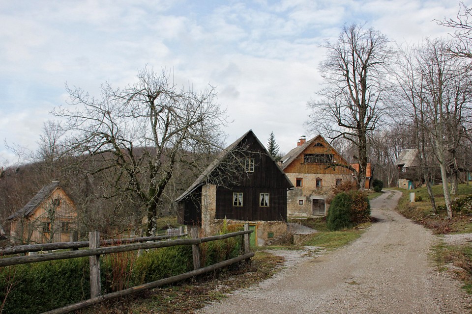 vasica puc z značilnimi kostelskimi hišami