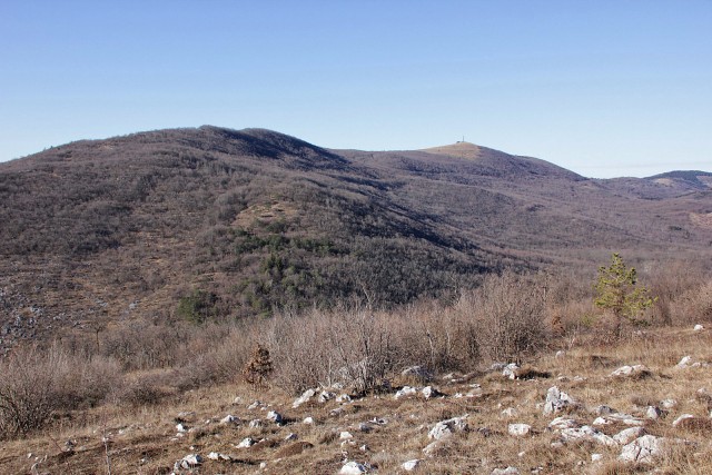 Slavnik z vršne planote velike plešivice