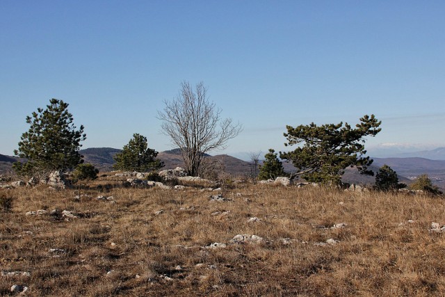 Velika Plešivica -1.1.2017 - foto