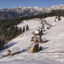 Pokljuka - 22.1.2017