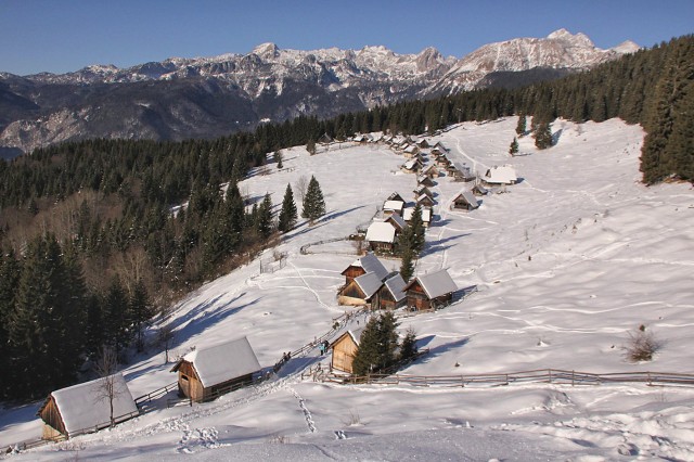 Pokljuka - 22.1.2017 - foto