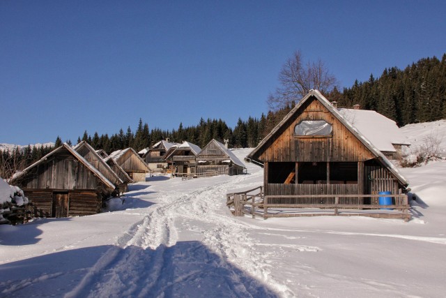 Pokljuka - 22.1.2017 - foto