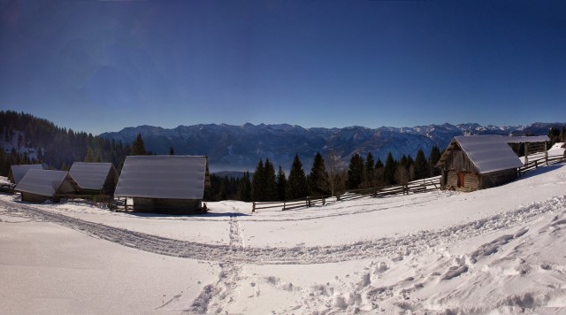 Pokljuka - 22.1.2017 - foto