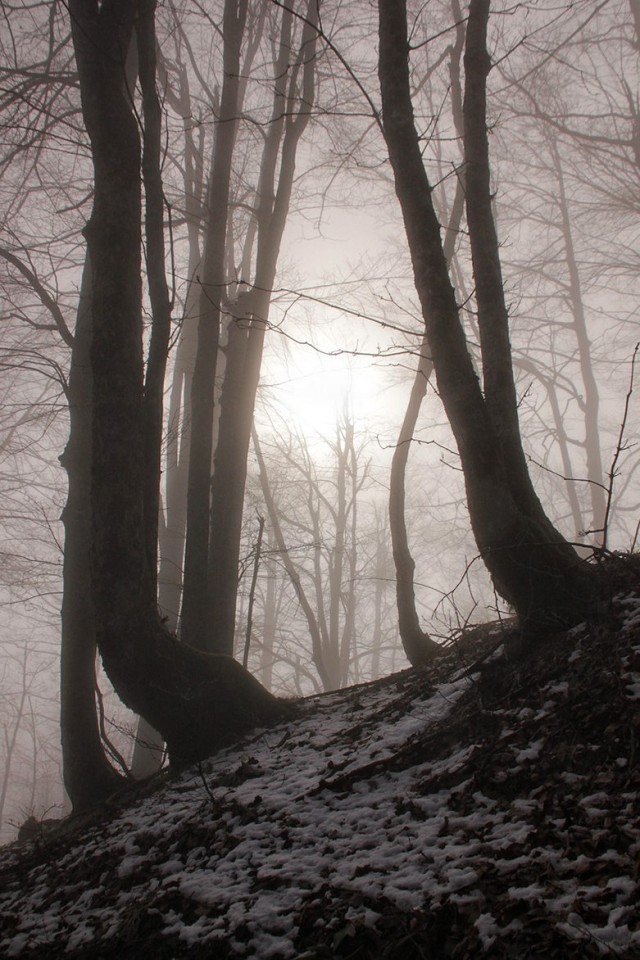 Lokarski vrh - 26.2.2017 - foto povečava