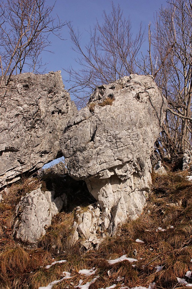 Lokarski vrh - 26.2.2017 - foto povečava