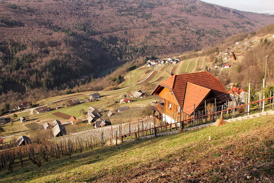 Drenje in Soteška gora z zidanicami in vinogradi