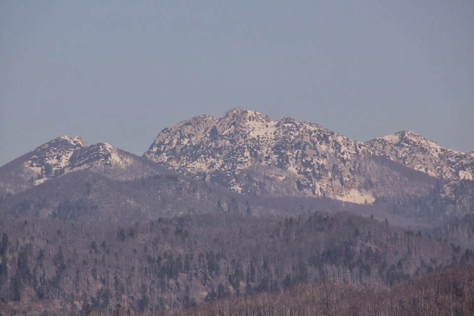 zasneženi risnjak