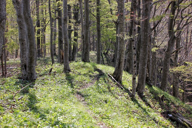 Krempa, Borič - 22.4.2017 - foto