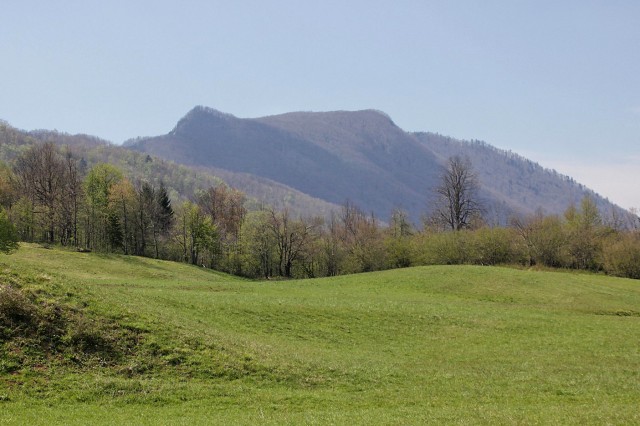 Pogled na krokar in borovško goro
