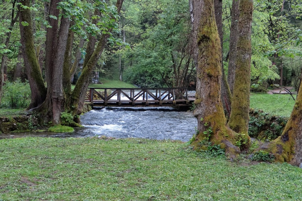 Bosna - 29.4.2017 - foto povečava