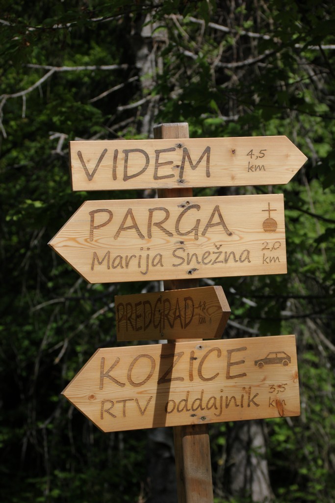 raziskovanje po gozdnih cestah nad pregradom