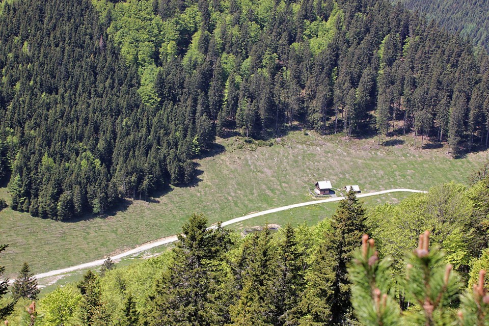 spodaj pusti rovt