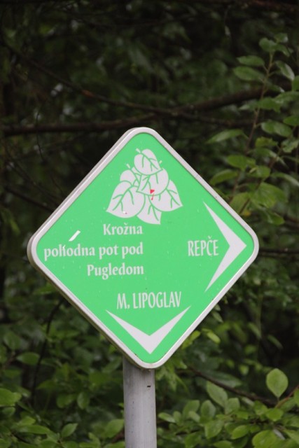 Pugled in Pugled - 26.6.2017 - foto