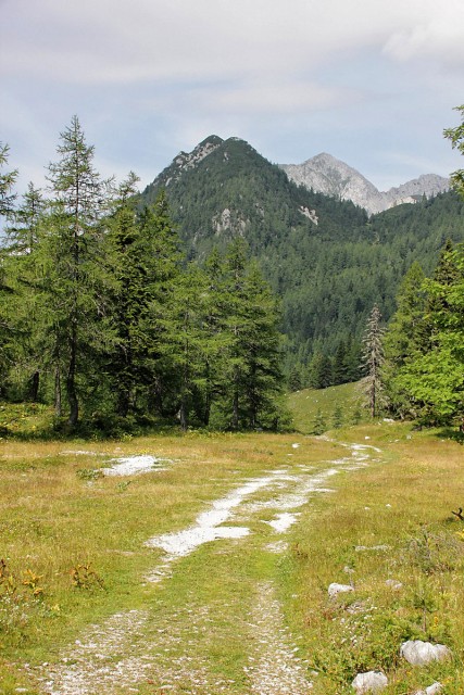 Zelenica - 22.7.2017 - foto