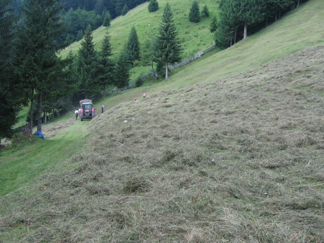 Obdelovanje - foto povečava