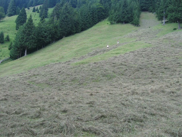 Obdelovanje - foto povečava