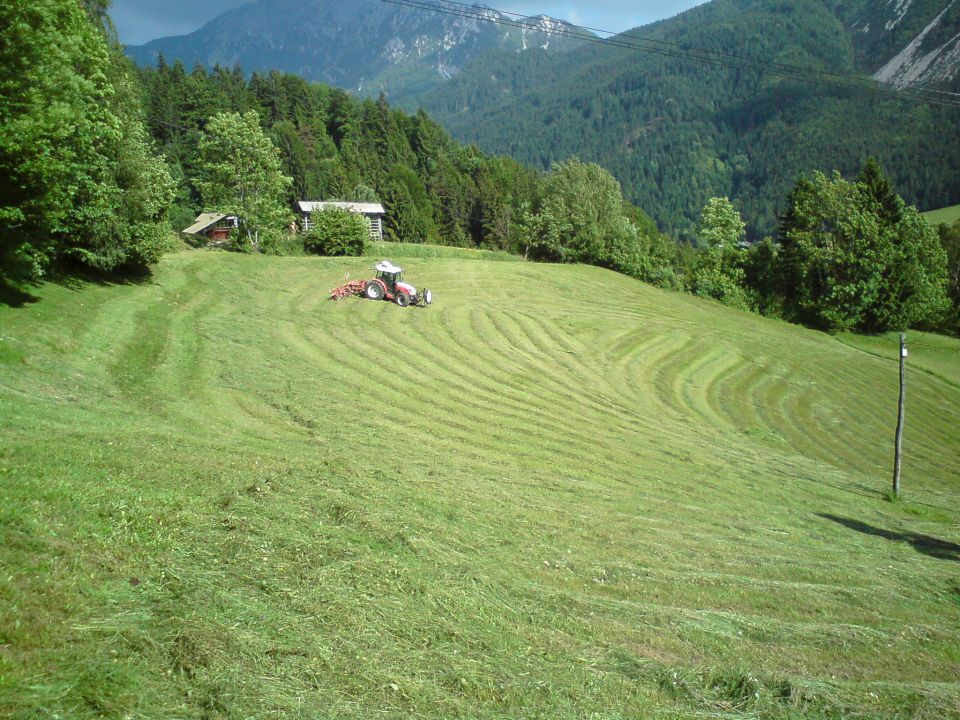 Obdelovanje - foto povečava