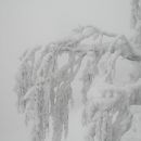 megleno-sneženo