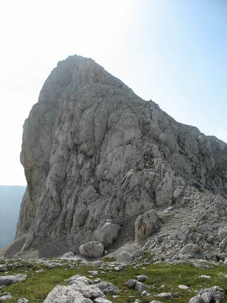 Vsak hrib ima več obrazov