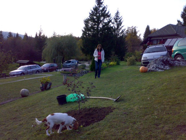 MIHA 25 let - foto povečava