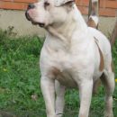MISTY 24 MONTH